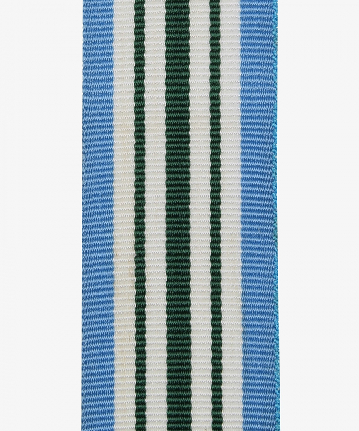 USA, Joint Service Commendation Medal, Community Service Recognition Medal (332)